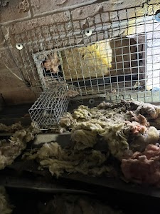 Quality Pest Control GTA Scarborough place picture